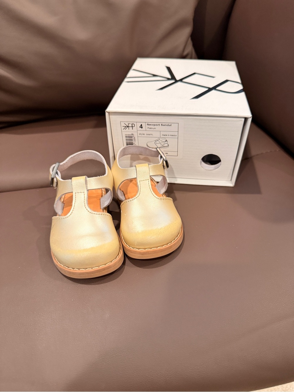 Freshly Picked Newport Leather T-Strap Clog